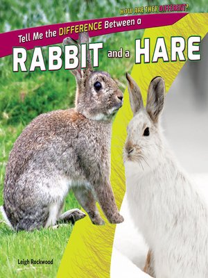 cover image of Tell Me the Difference Between a Rabbit and a Hare